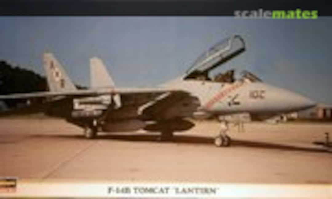 1:72 F-14B Tomcat `LANTIRN´ (Hasegawa 00078)