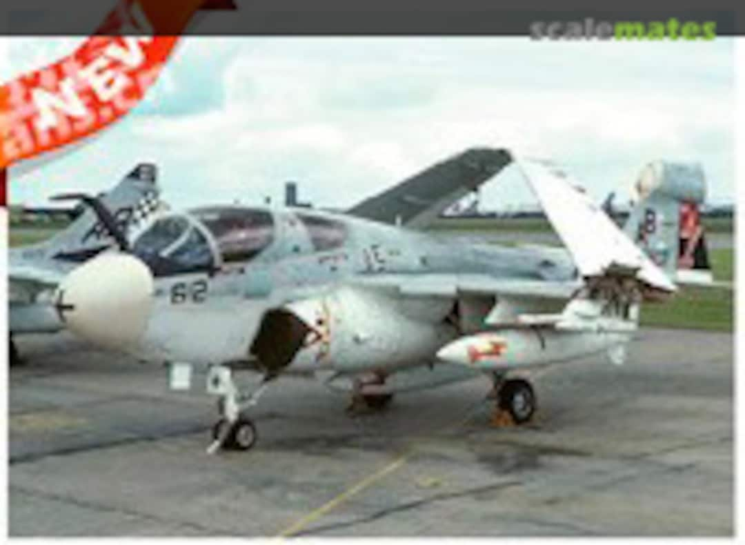 Boxart EA-6B Prowler 01643 Trumpeter