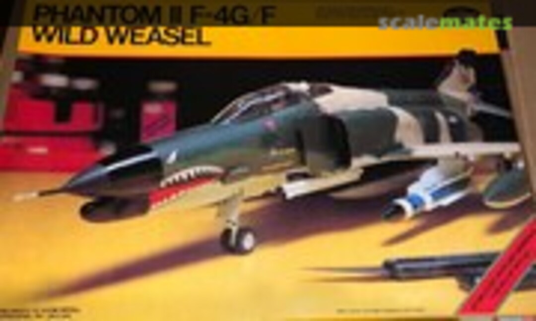 1:48 Phantom II F-4G/F Wild Weasel (Testors 583)