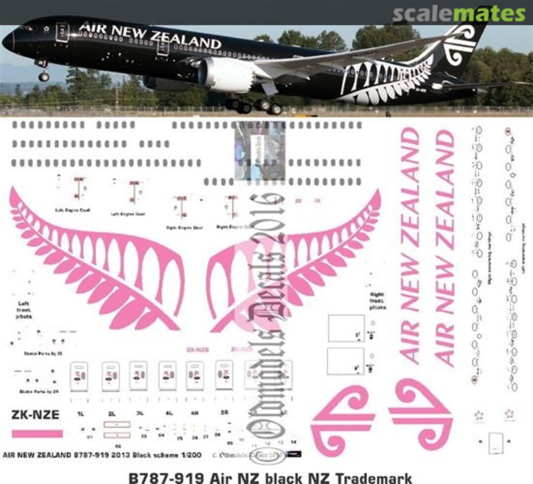 Boxart Air NZ B787-919 2013 NZ Trademark Black scheme OMD0613 Oldmodels Decals