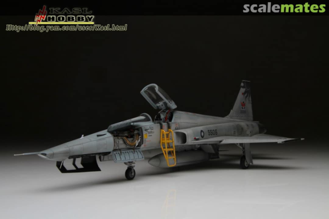 Boxart RF-5E TIGEREYE Detail Set II K48025 Kasl Hobby