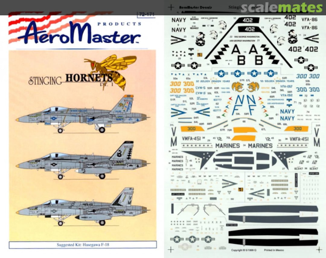 Boxart Stinging Hornets 72-171 AeroMaster