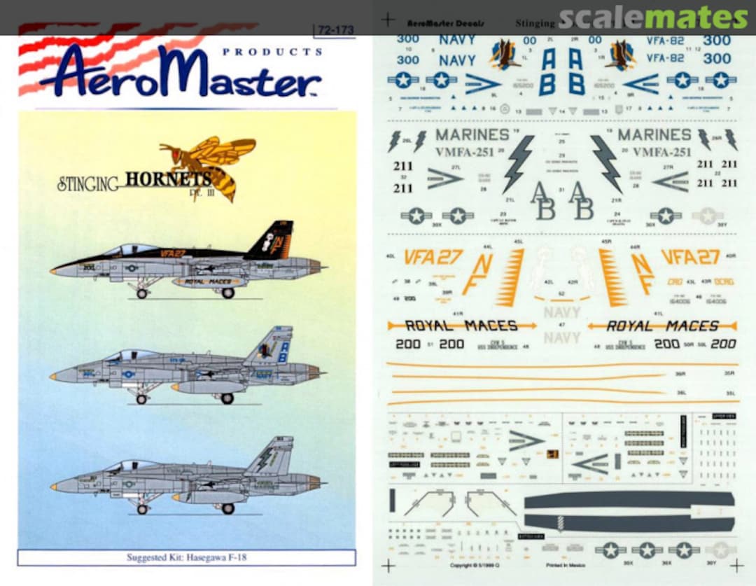 Boxart Stinging Hornets 72-173 AeroMaster