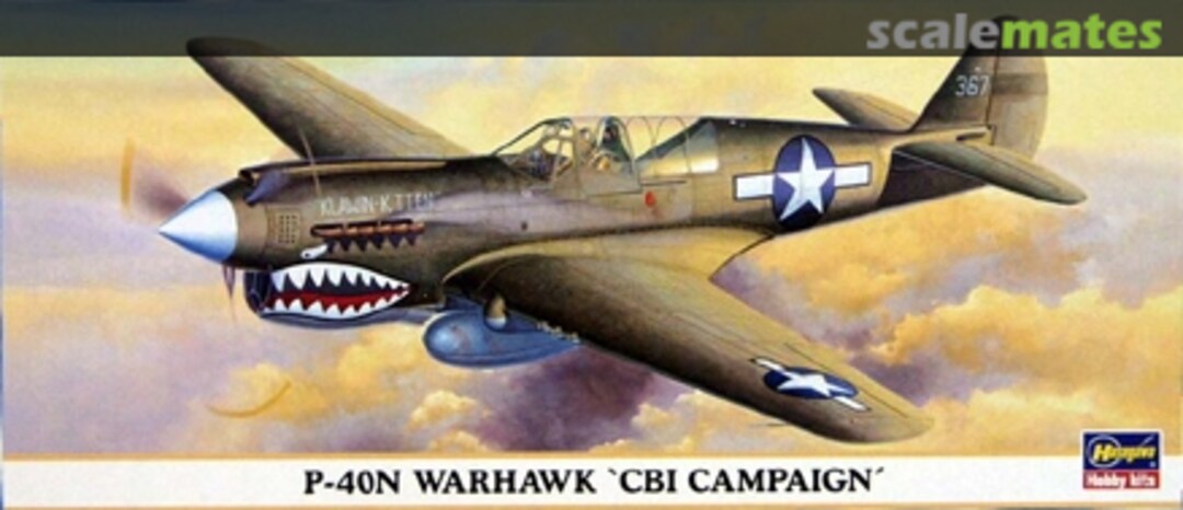 Boxart P-40N Warhawk 'CBI Campaign' 00649 Hasegawa