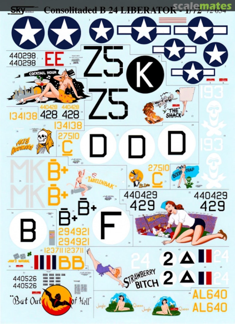 Boxart Consolidated B-24 Liberator 72-054 Sky Models