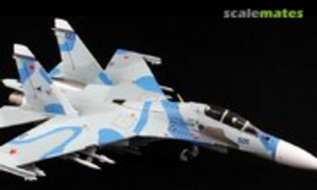 Su-30MK (Witty Wings WTW72030-03)