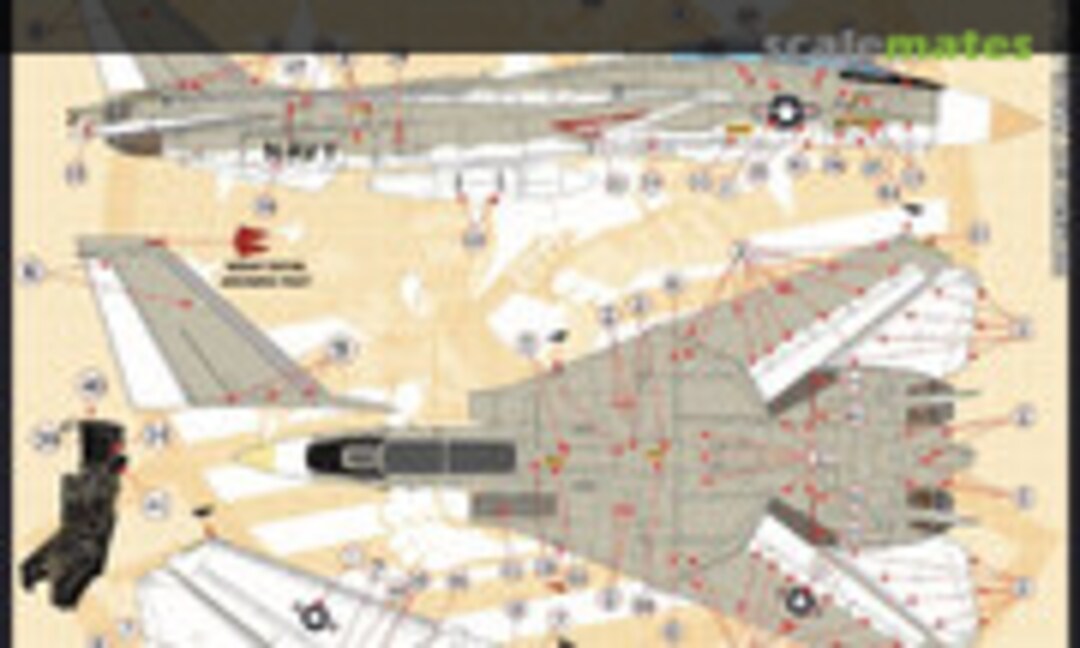 1:48 F-14 Stencil &amp; Data (Furball Aero-Design 48-059)