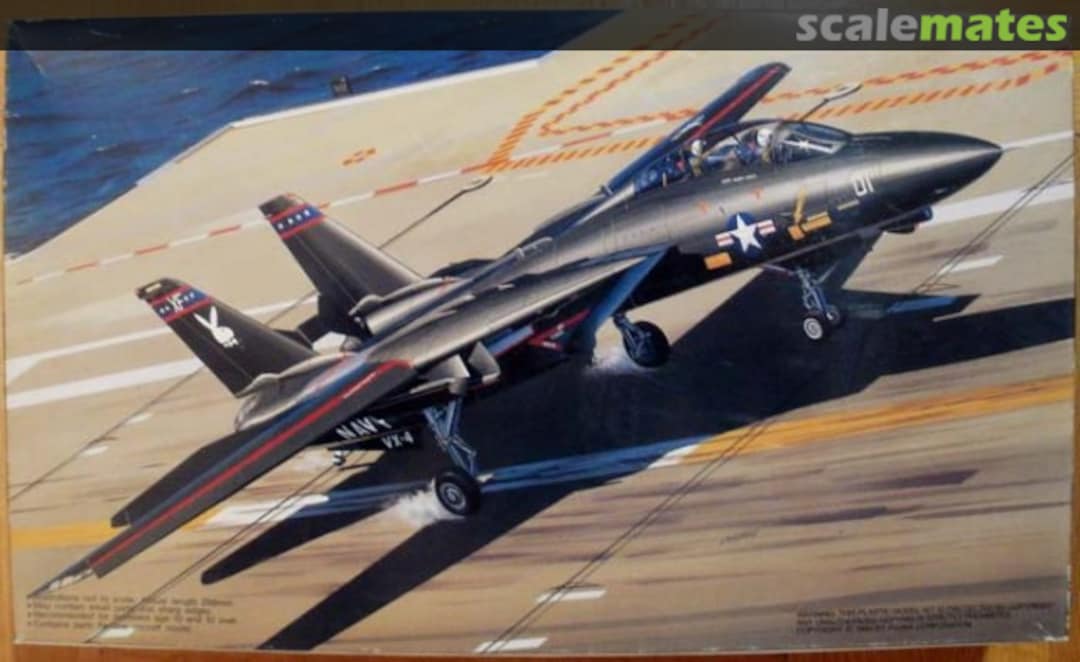 Boxart Grumman F-14A Tomcat 28018 Fujimi