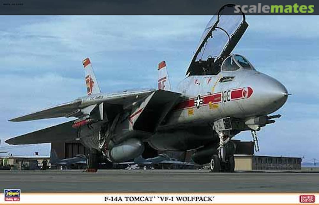 Boxart F-14A Tomcat `VF-1 Wolfpack´ 09917 Hasegawa