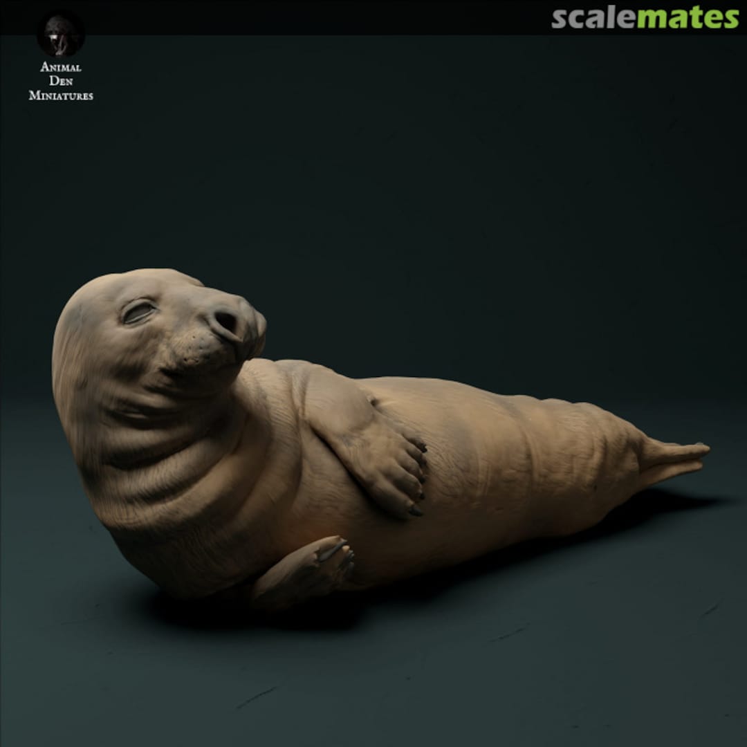 Boxart Grey Seal pair 72130210 EMP3d