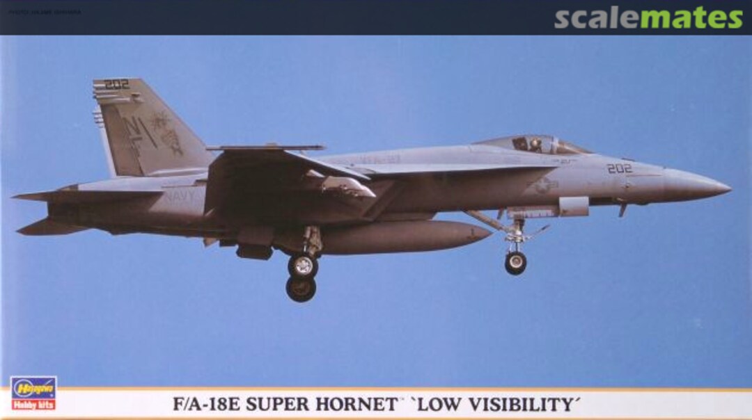 Boxart F/A-18E Super Hornet `Low Visibility´ 00829 Hasegawa