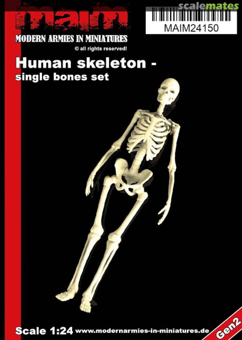 Boxart Human Skeleton; single Bones Set MAIM24150 MAiM