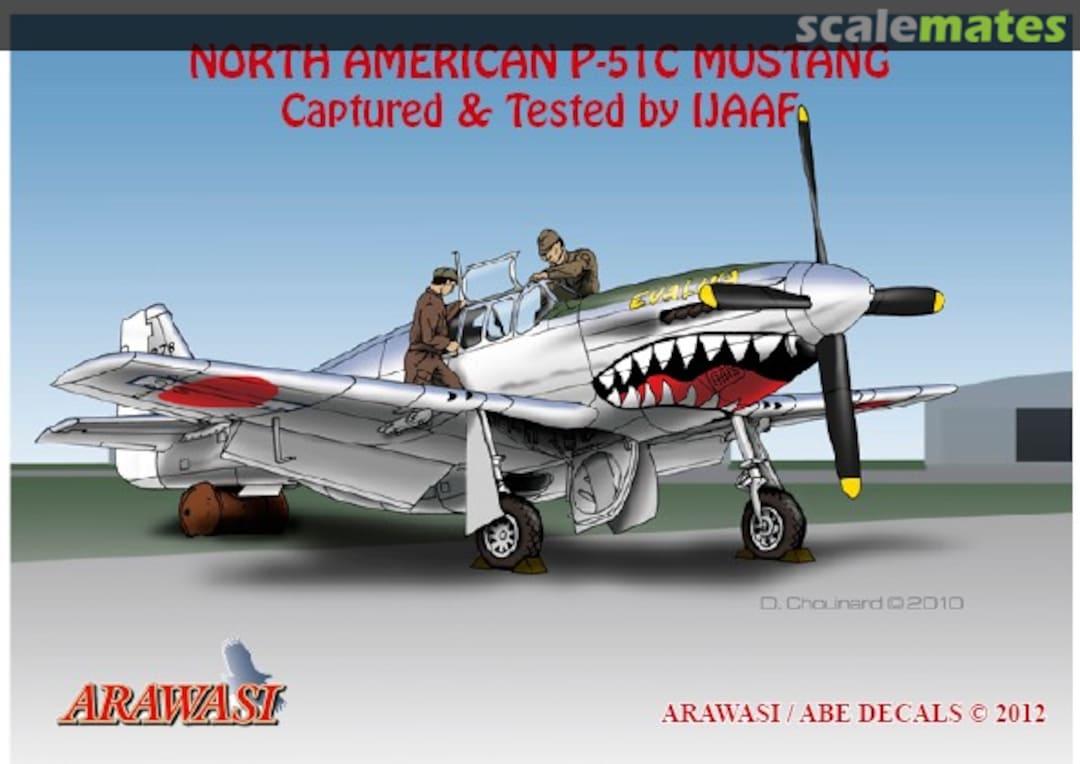 Boxart North American P-51 C Mustang "EVALINA" AR-48005 Arawasi Decals