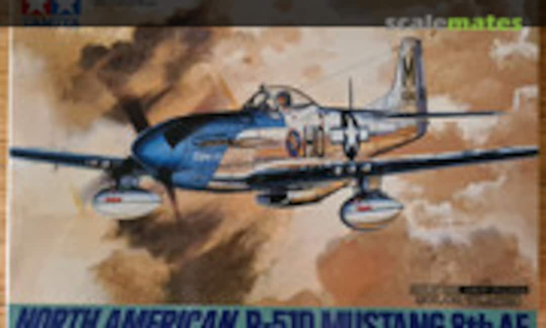 1:48 North American P-51D Mustang 8th AF (Tamiya 89534)