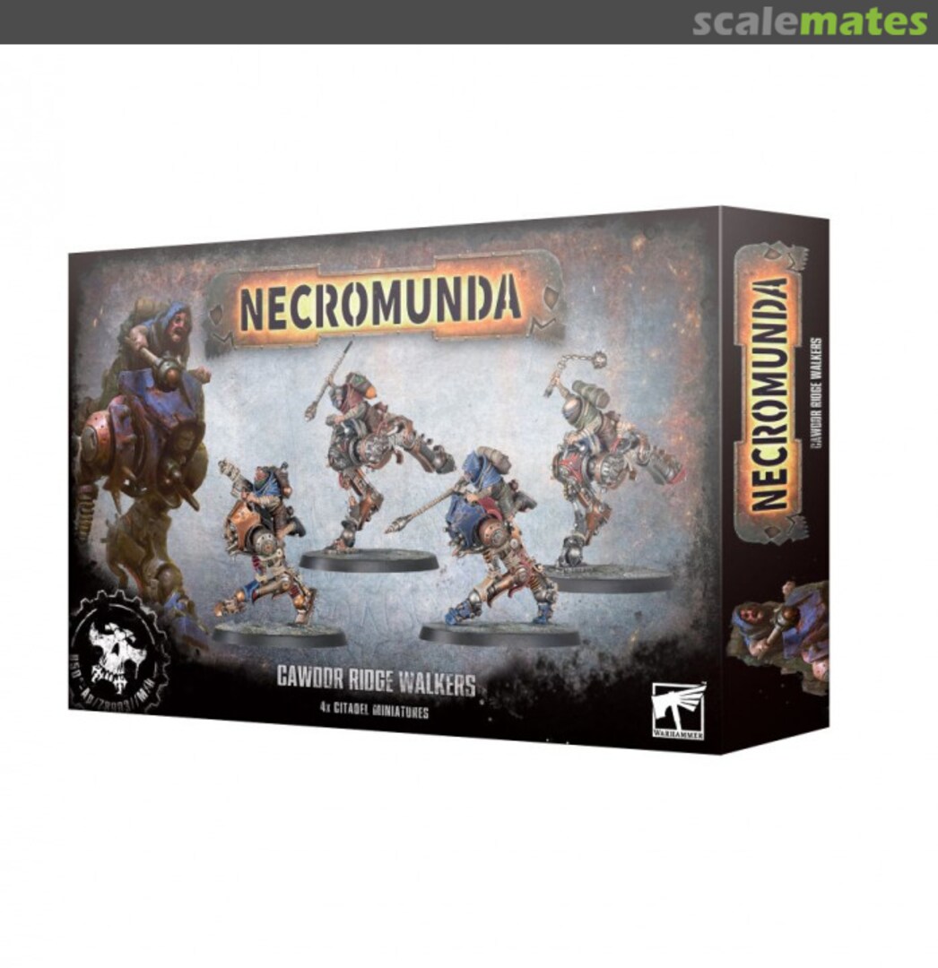 Boxart Cawdor Ridge Walkers 301-14 Games Workshop