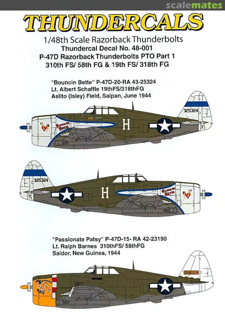 Boxart P-47D Razorback Thunderbolts PTO Part 1 TCA48001 ThunderCals