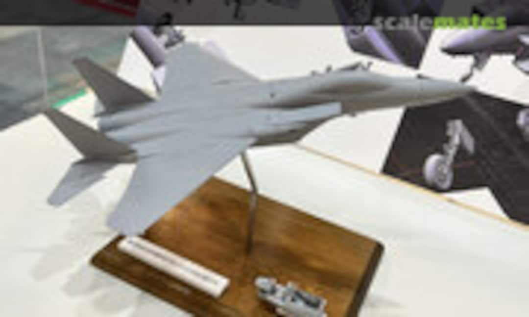 1:72 F-15 (Fine Molds )