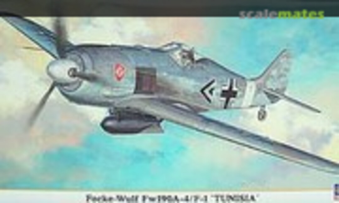 1:48 Focke-Wulf Fw190A-4/F-1 'Tunisia' (Hasegawa 09720)