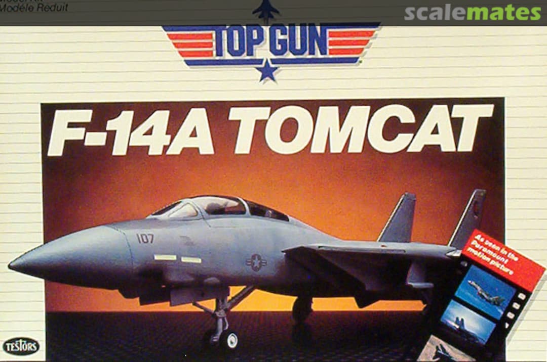 Boxart F-14A Tomcat 293 Testors