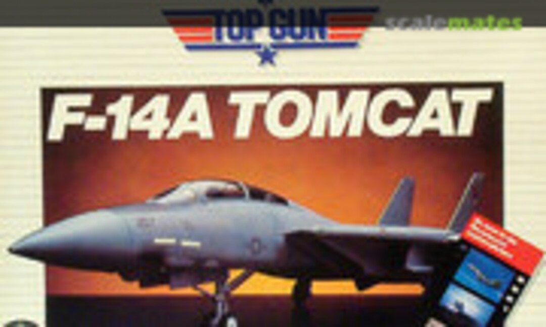 1:48 F-14A Tomcat (Testors 293)