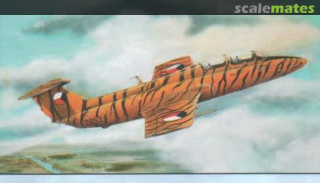 Boxart Aero L-29 Delfin in Tiger Colours 73133 Kopro (AIRmolds)