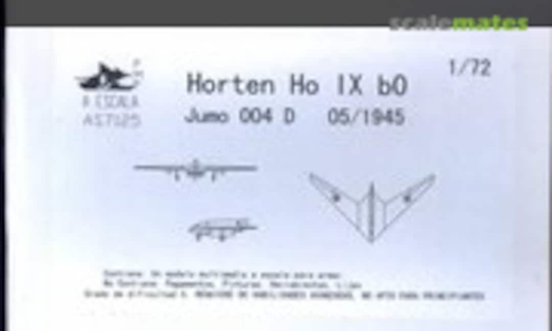 1:72 HORTEN Ho IX b0 (AESCALA AS7125)