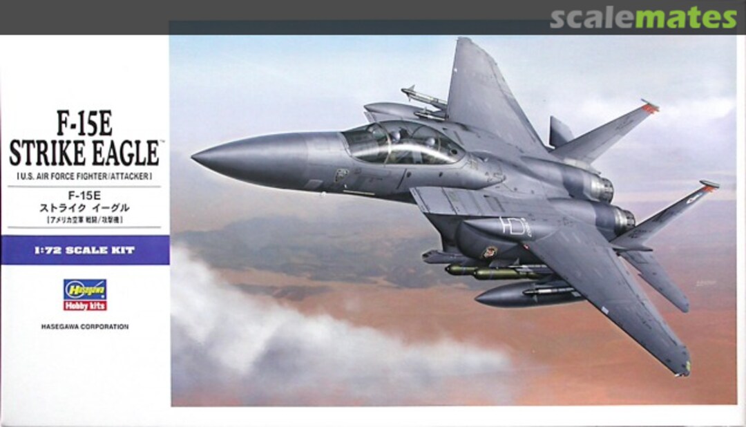 Boxart F-15E Strike Eagle 01569 Hasegawa