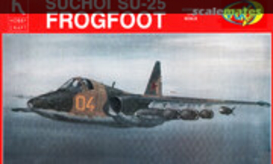 1:72 Suchoi Su-25 Frogfoot (WKmodels )