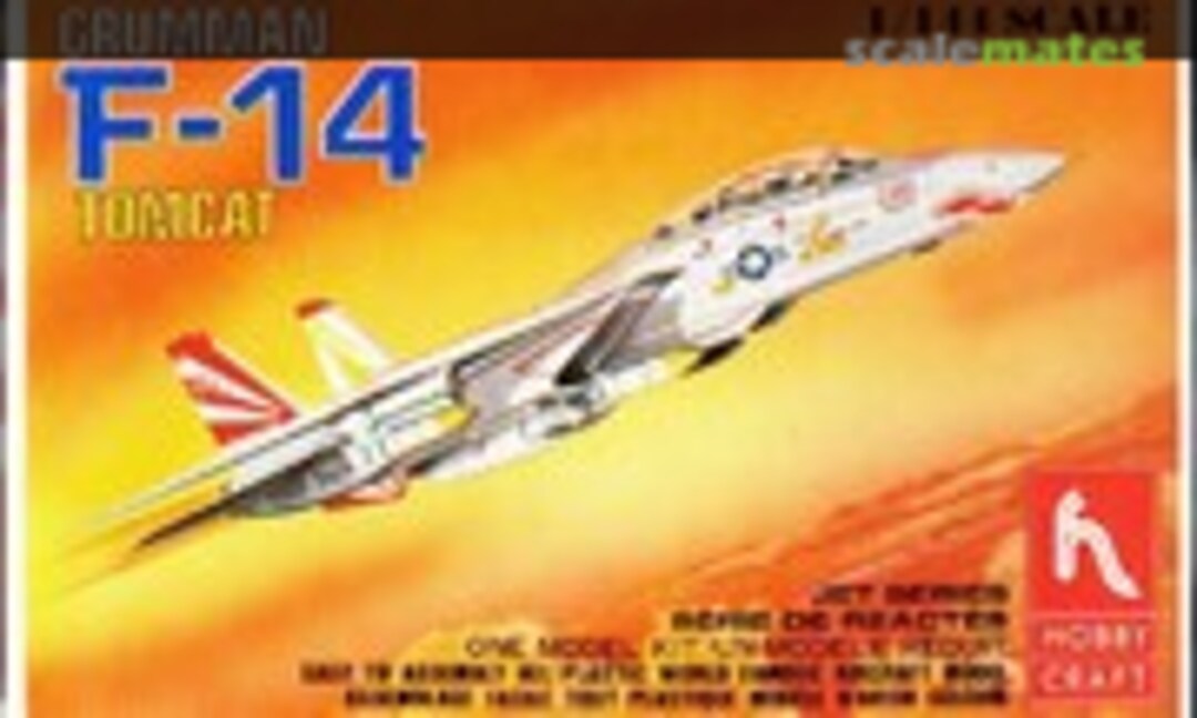 1:144 Grumman F-14 Tomcat (Hobbycraft HC1102)