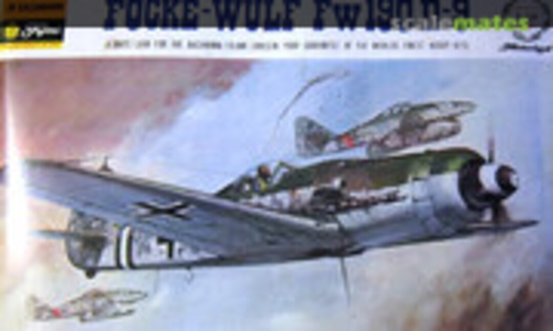 1:48 Focke-Wulf Fw190 D-9 (Bachmann Fujimi 0764:250)