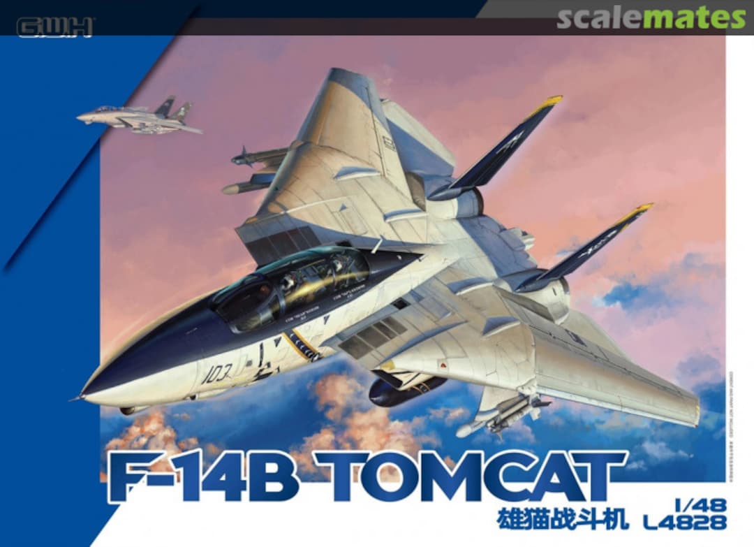 Boxart F-14B Tomcat L4828 Great Wall Hobby