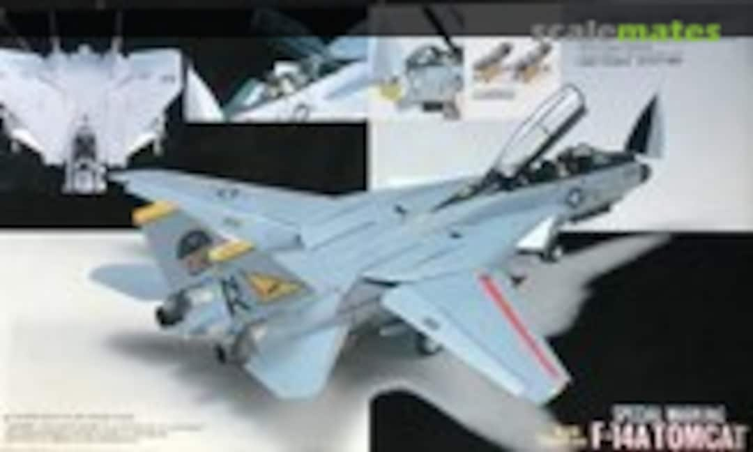 1:72 F-14A Tomcat Special Marking (Fujimi 34005)