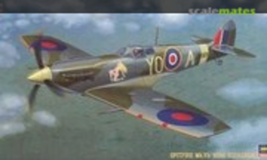 1:48 Spitfire Mk.Vb (Hasegawa 09187)