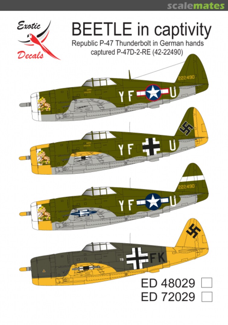 Boxart BEETLE in captivity - Republic P-47 Thunderbolt in German hands. ED48029 Exotic Decals