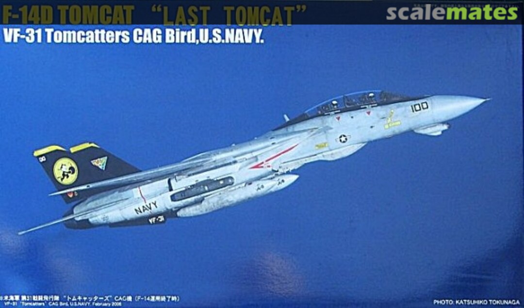 Boxart F-14D Tomcat "Last Tomcat" 72191 Fujimi