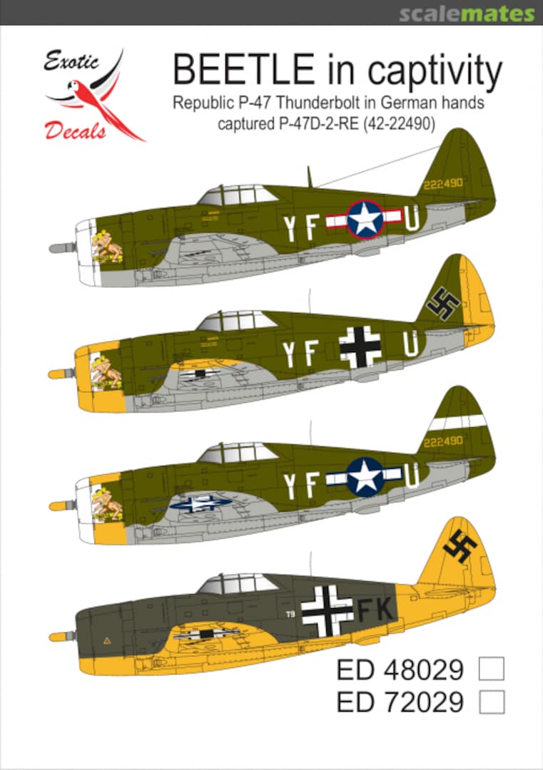 Boxart BEETLE in captivity - Republic P-47 Thunderbolt in German hands ED72029 Exotic Decals