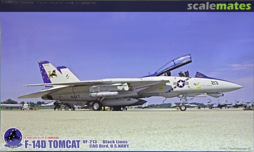 Boxart F-14D Tomcat 28011 Fujimi