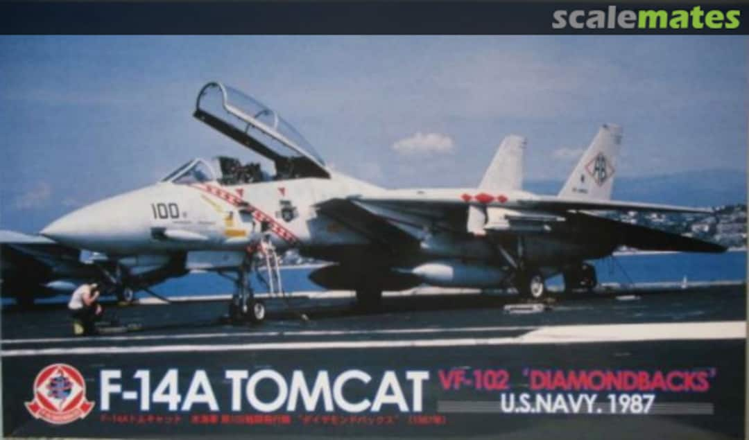 Boxart F-14A Tomcat 28013 Fujimi