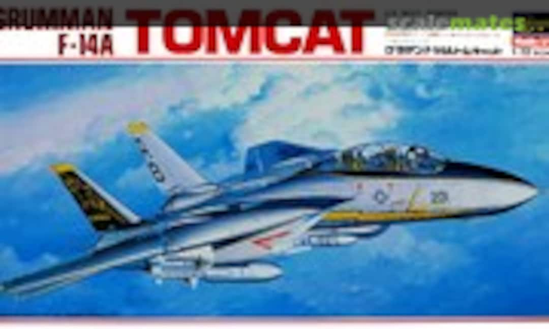 1:72 F-14A Tomcat (Hasegawa K12)