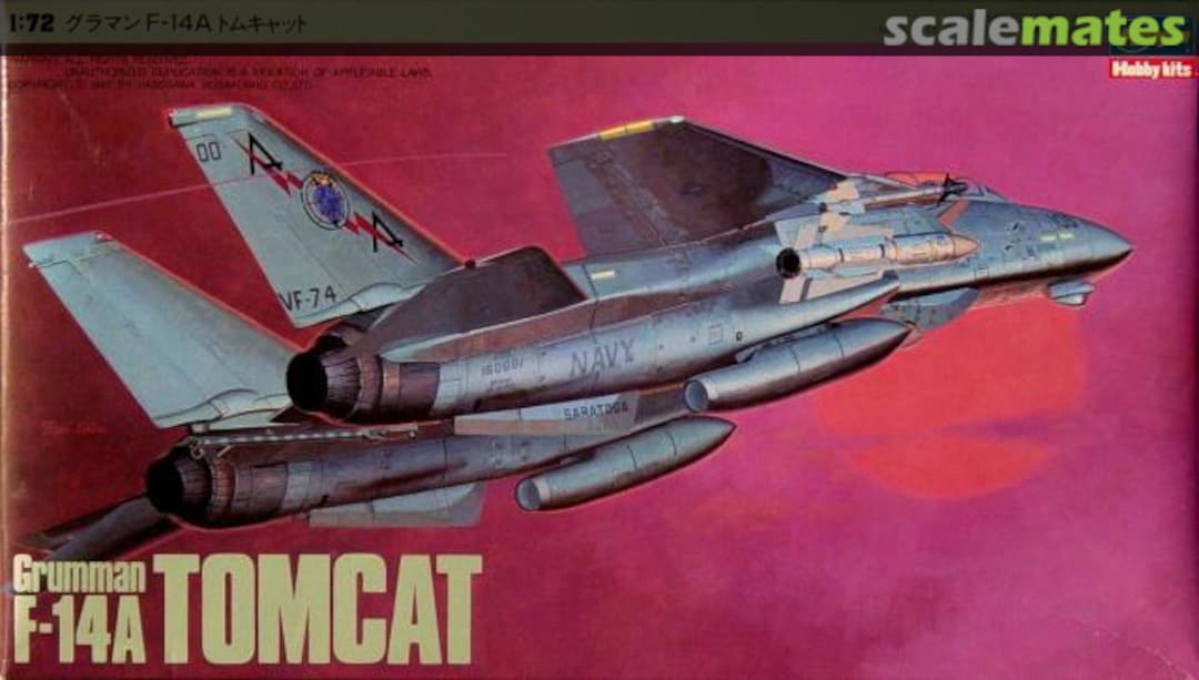 Boxart F-14A Tomcat 04112 Hasegawa