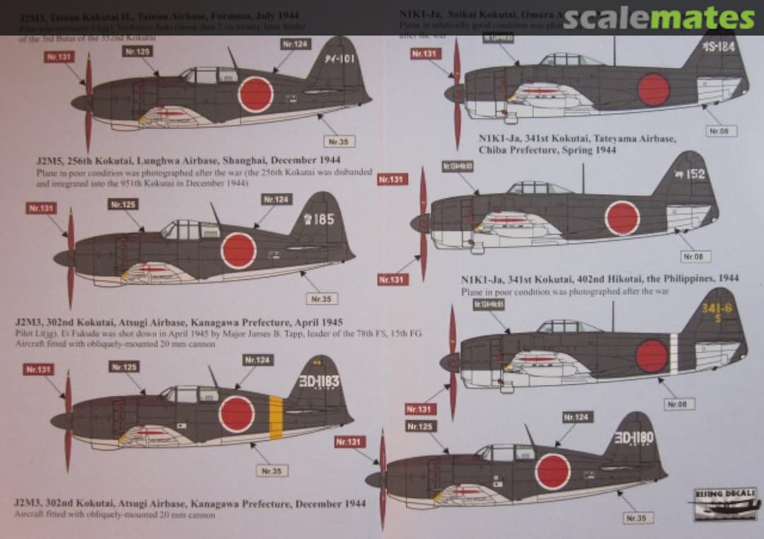 Boxart Japanese Sea Eagles RD72066 Rising Decals