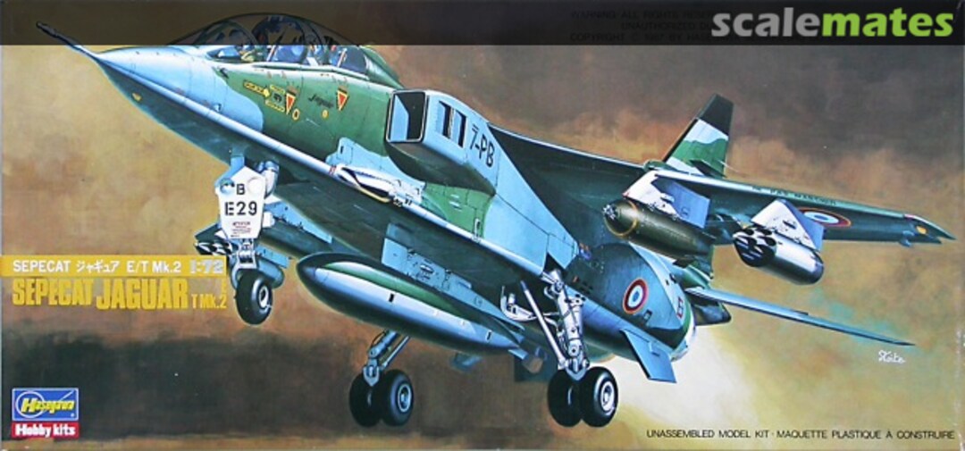 Boxart Sepecat Jaguar E / T Mk.2 803 Hasegawa