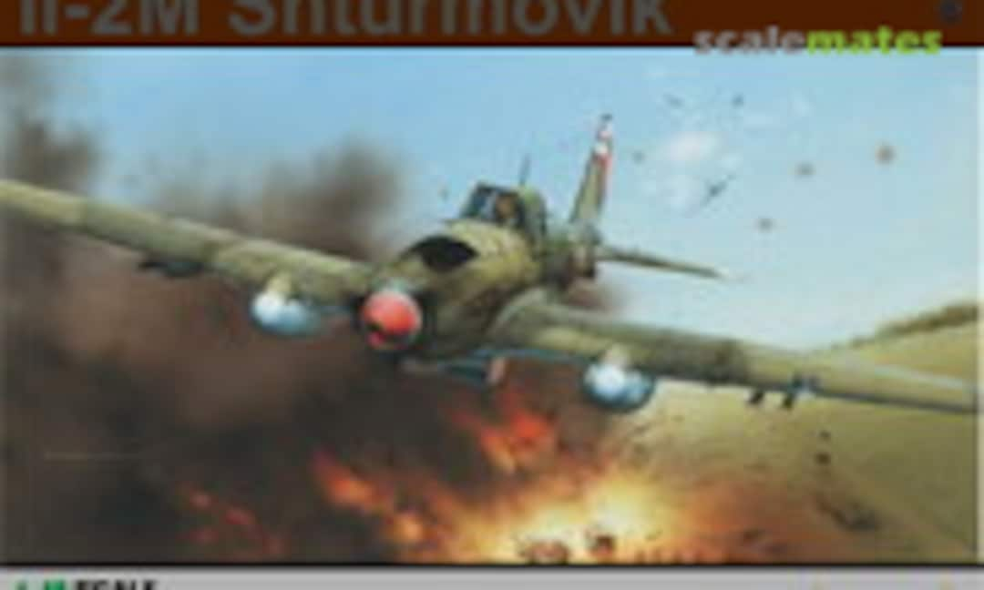 1:48 Il-2M Shturmovik (Eduard 8165)