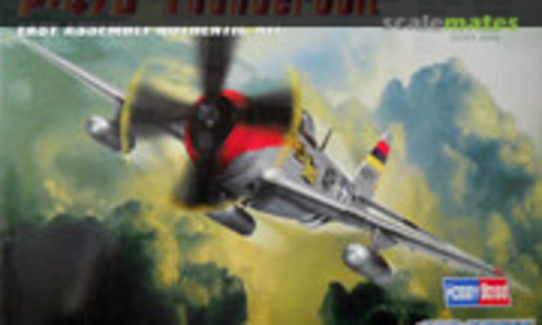 1:72 P-47D &quot;Thunderbolt&quot; (HobbyBoss 80257)