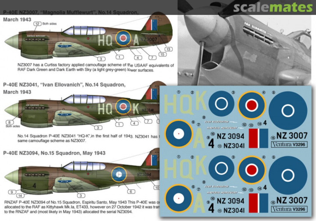 Boxart RNZAF Curtiss P-40E’s, Home Based & ex Tonga. V3296 Ventura Publications