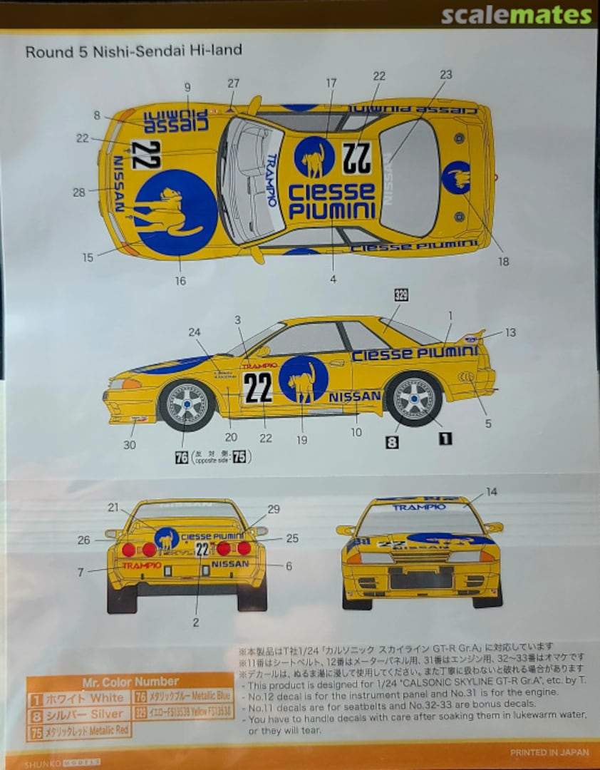 Boxart Nissan Skyline GT-R Group A Object T Team sponsored by Ciesse Piumini #22 SHK-D484 Shunko Models