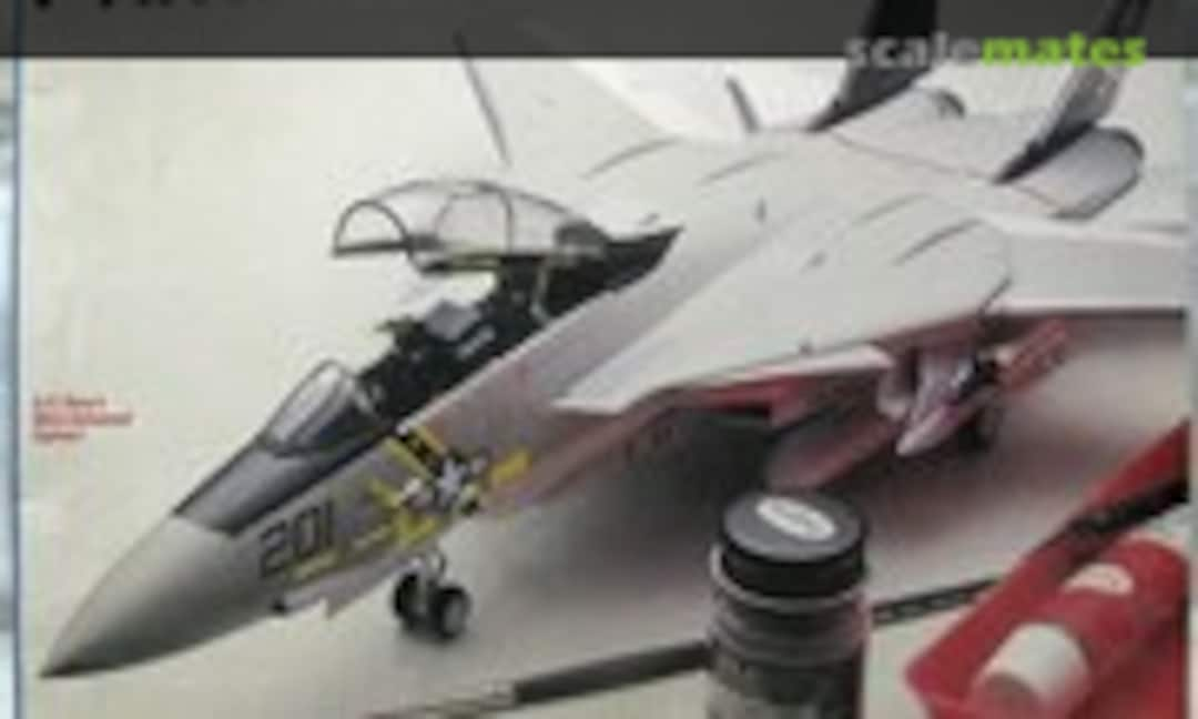 1:48 F-14A Tomcat (Testors 338)