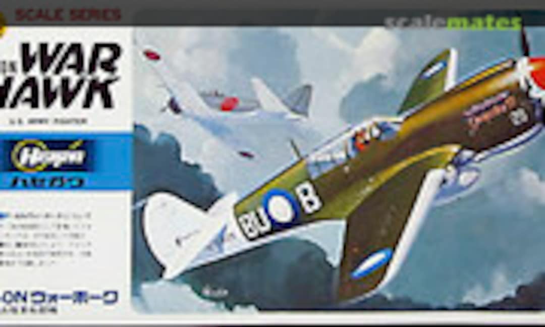 1:72 P-40N War Hawk (Hasegawa B10)