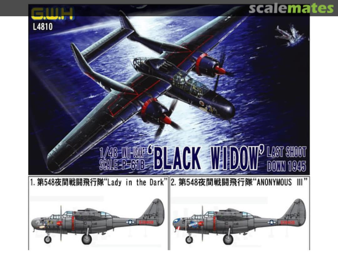 Boxart WWII USAAF P-61B Black Widow Last Shoot Down 1945 L4810S Lion Roar