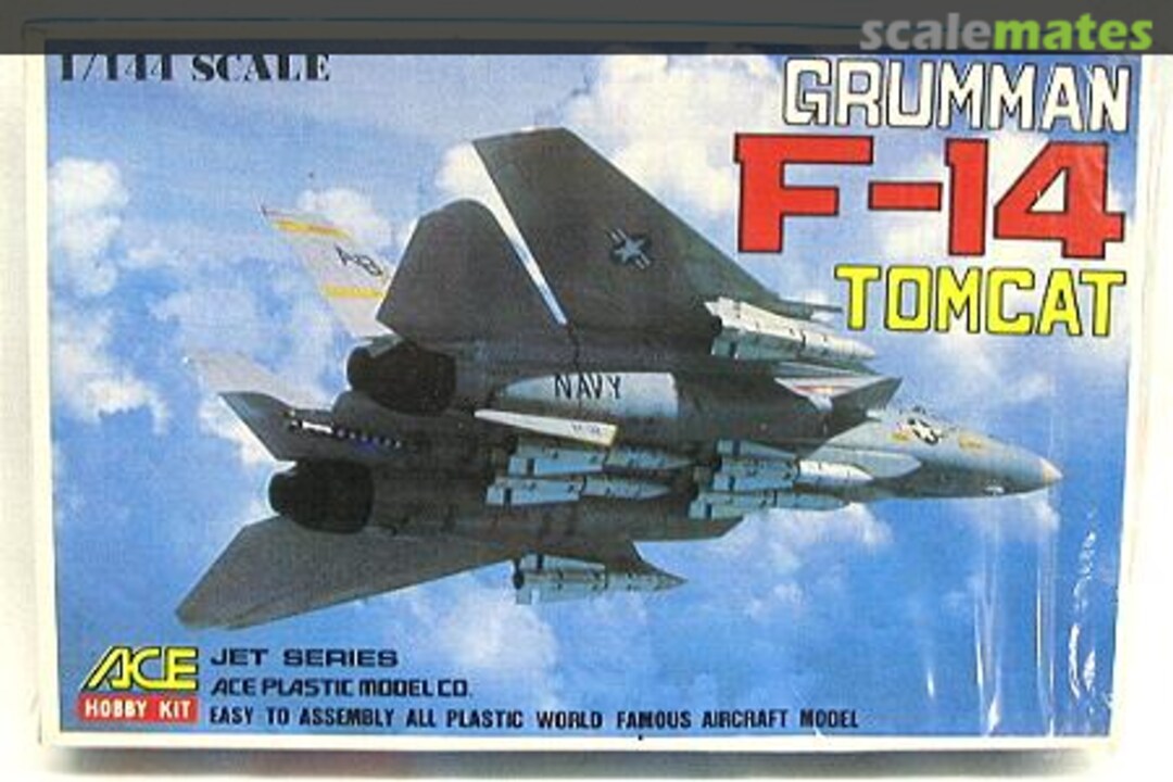 Boxart Grumman F-14 Tomcat 300 ACE Hobby Kit